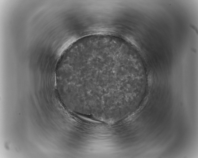 X0000099301267200805301126