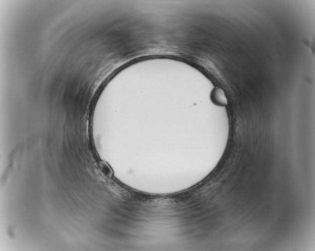 X0000099301268200805301126