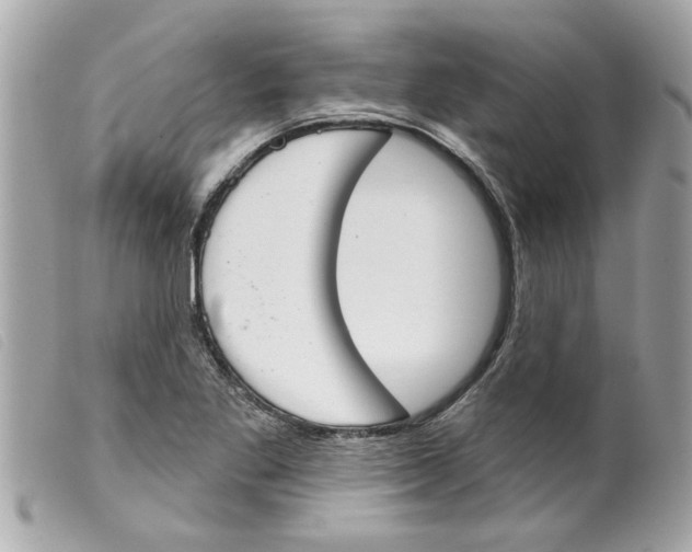 X0000099301269200805301126