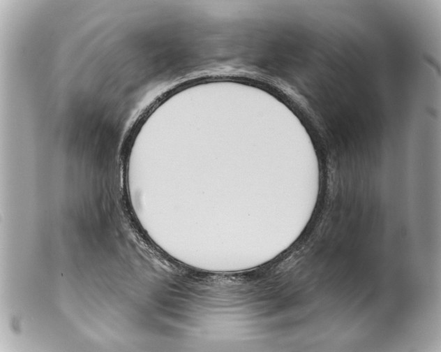 X0000099301270200805301126