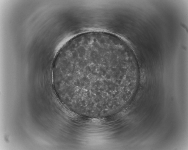 X0000099301271200805301126