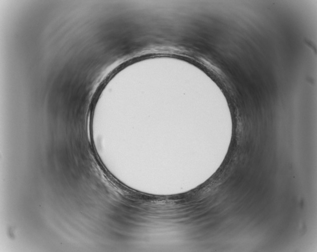 X0000099301272200805301126