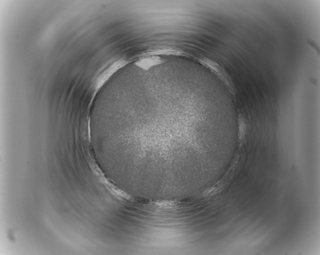 X0000099301274200805301126