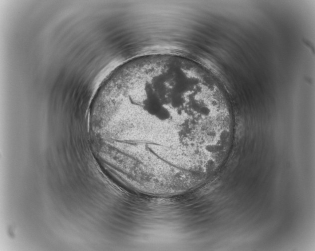 X0000099301275200805301126