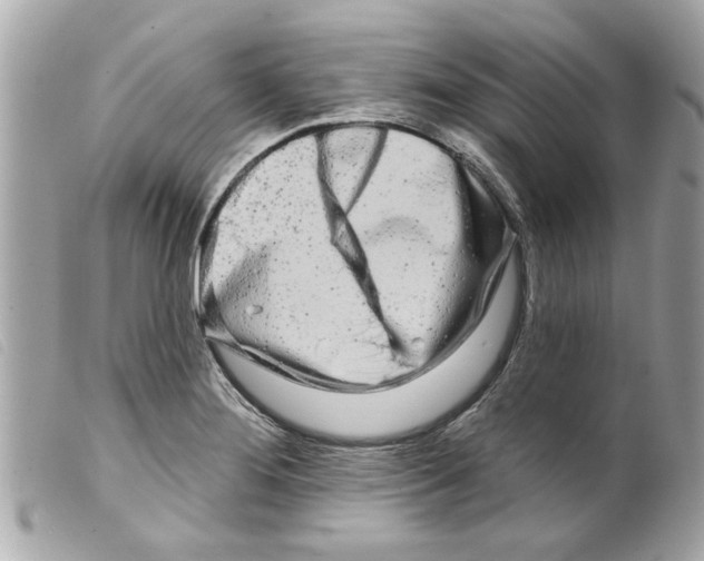 X0000099301276200805301126