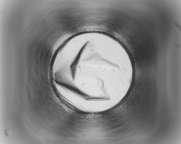 X0000099301277200805301126