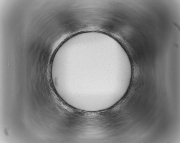 X0000099301278200805301126