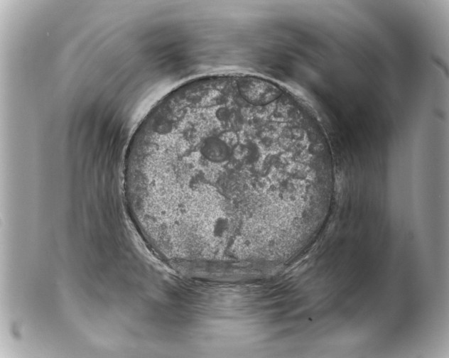 X0000099301279200805301126