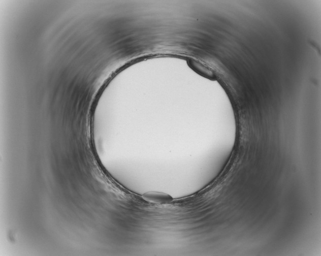 X0000099301280200805301126