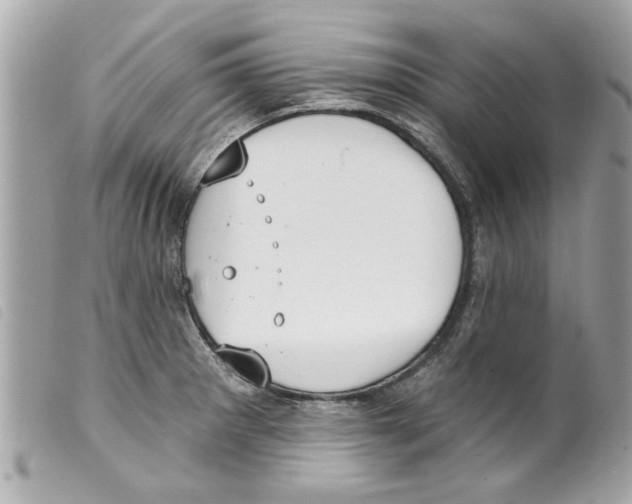 X0000099301281200805301126