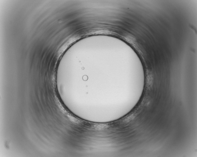 X0000099301282200805301126