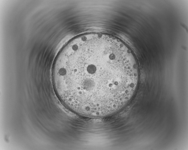 X0000099301283200805301126