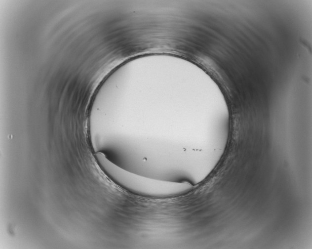 X0000099301284200805301126