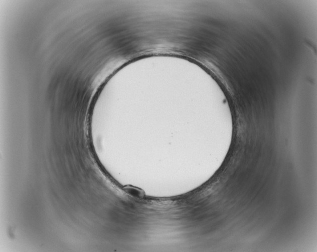 X0000099301285200805301126