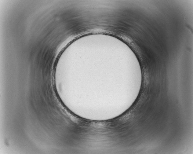 X0000099301286200805301126