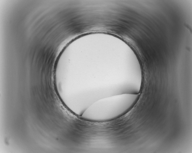 X0000099301288200805301126