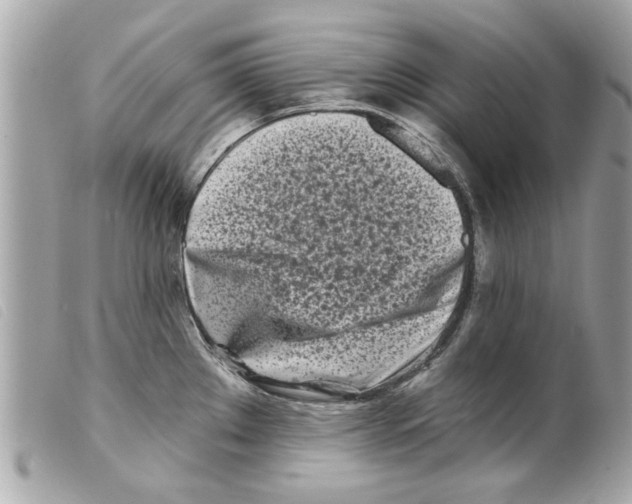 X0000099301289200805301125