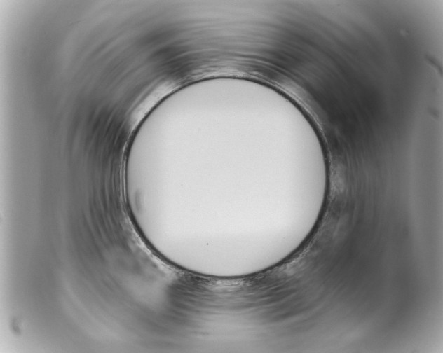 X0000099301290200805301125