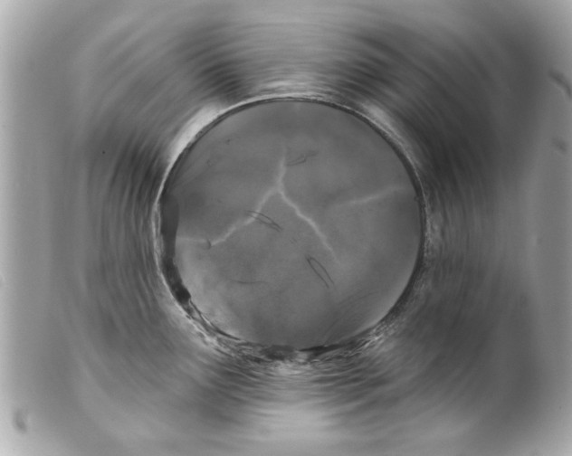 X0000099301291200805301125