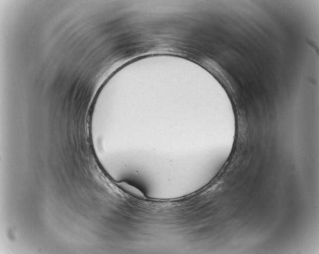 X0000099301292200805301125