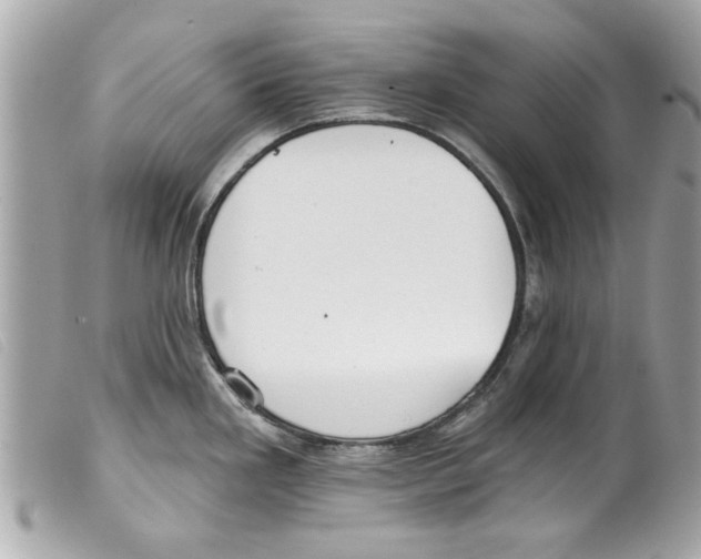 X0000099301293200805301125