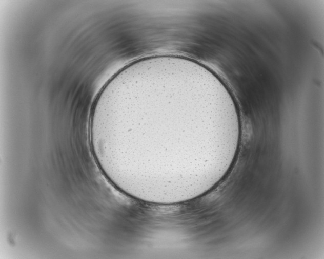 X0000099301294200805301125