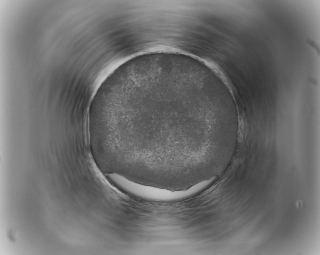 X0000099301295200805301125