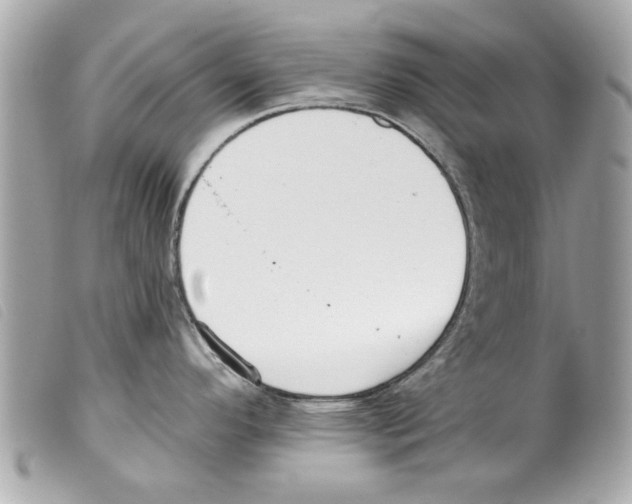 X0000099301296200805301125