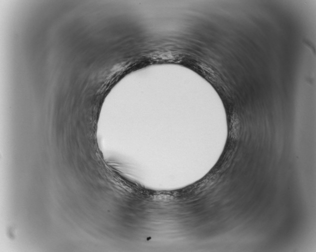 X0000099301297200805301125