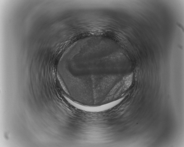 X0000099301298200805301125