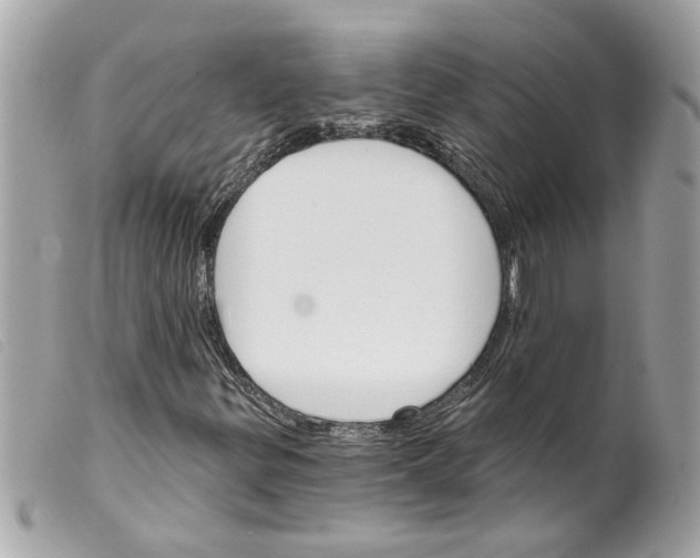 X0000099301299200805301125