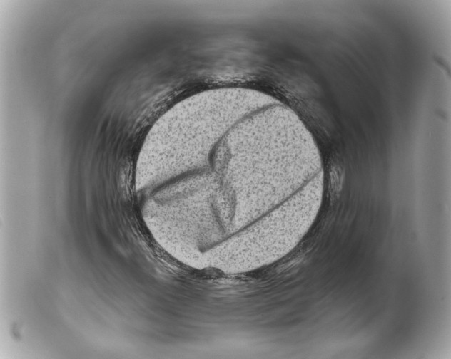 X0000099301300200805301125