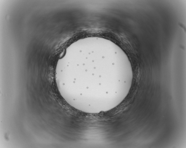 X0000099301301200805301125