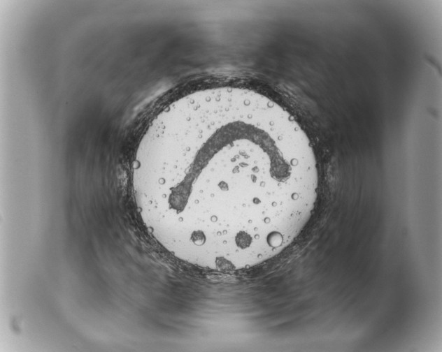 X0000099301302200805301125