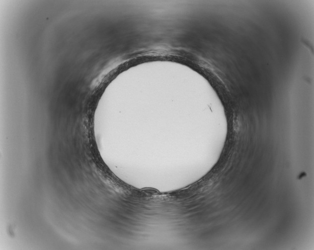 X0000099301304200805301125