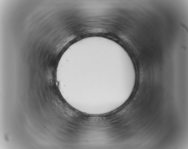 X0000099301305200805301125