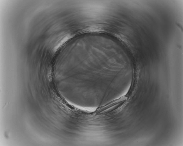 X0000099301306200805301125