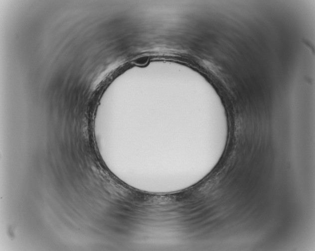 X0000099301307200805301125