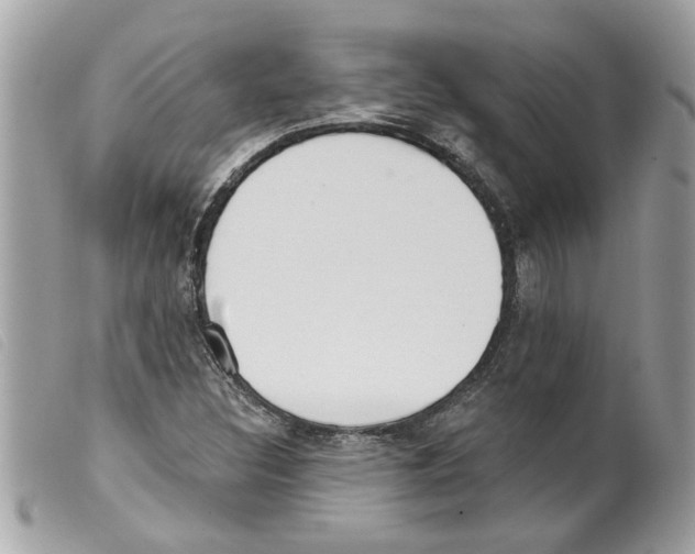 X0000099301308200805301125