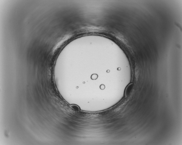 X0000099301309200805301125