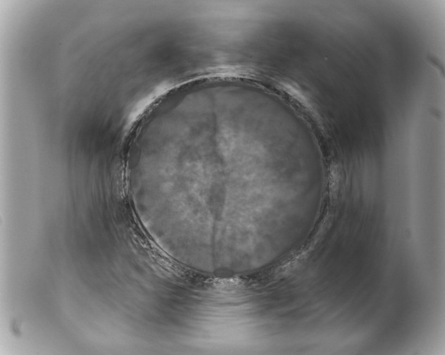 X0000099301310200805301125