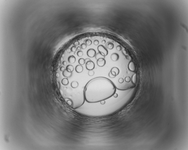 X0000099301311200805301125