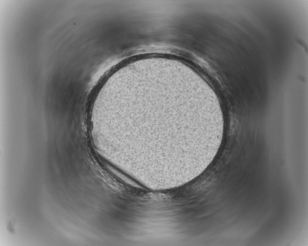 X0000099301312200805301125