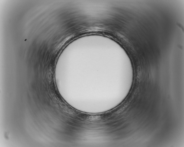 X0000099301313200805301125