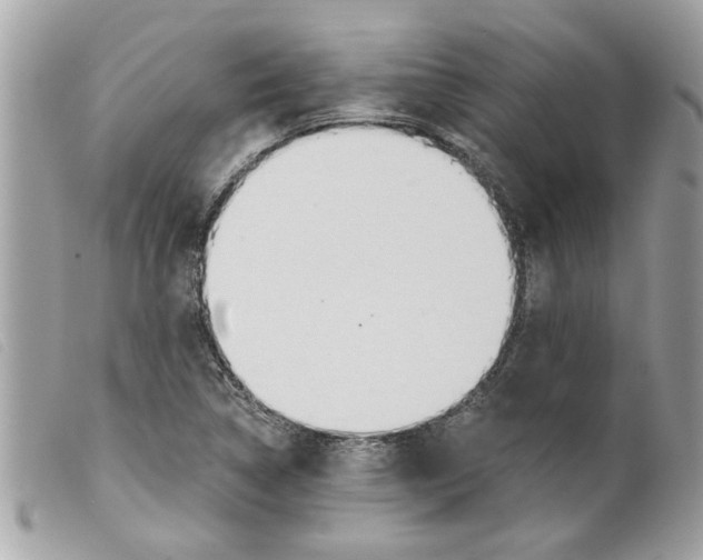 X0000099301314200805301125