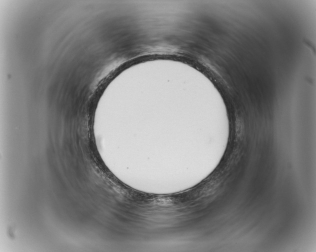 X0000099301315200805301125