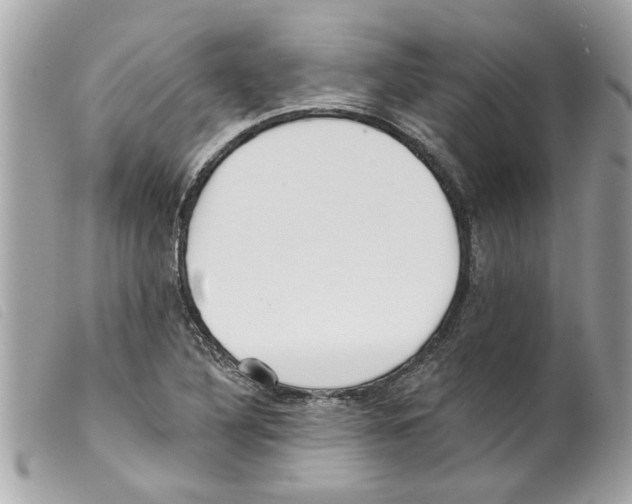 X0000099301316200805301125