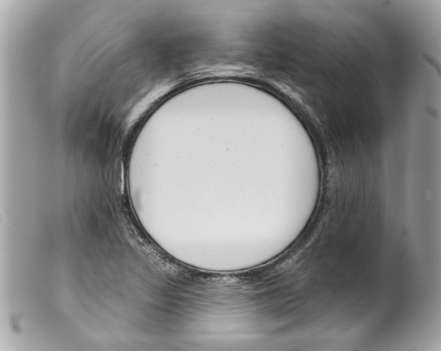 X0000099301317200805301125