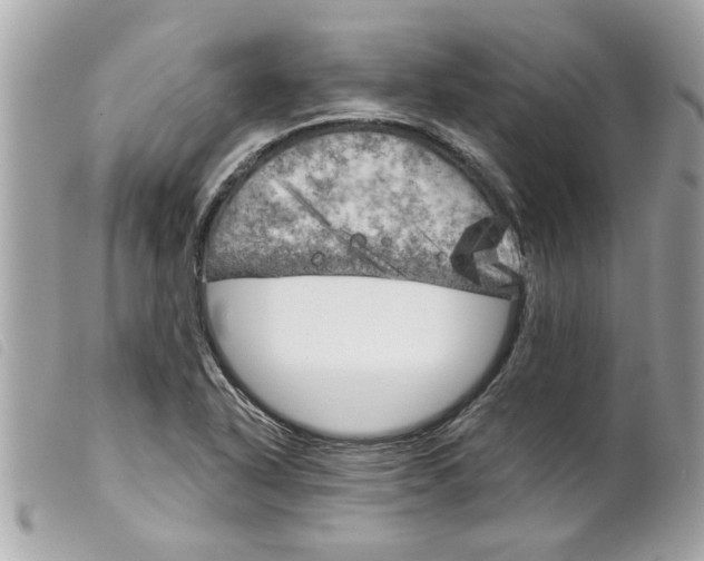 X0000099301318200805301125