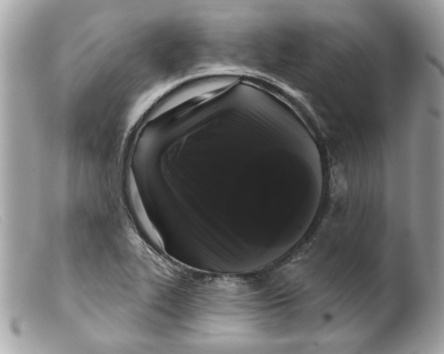 X0000099301319200805301125